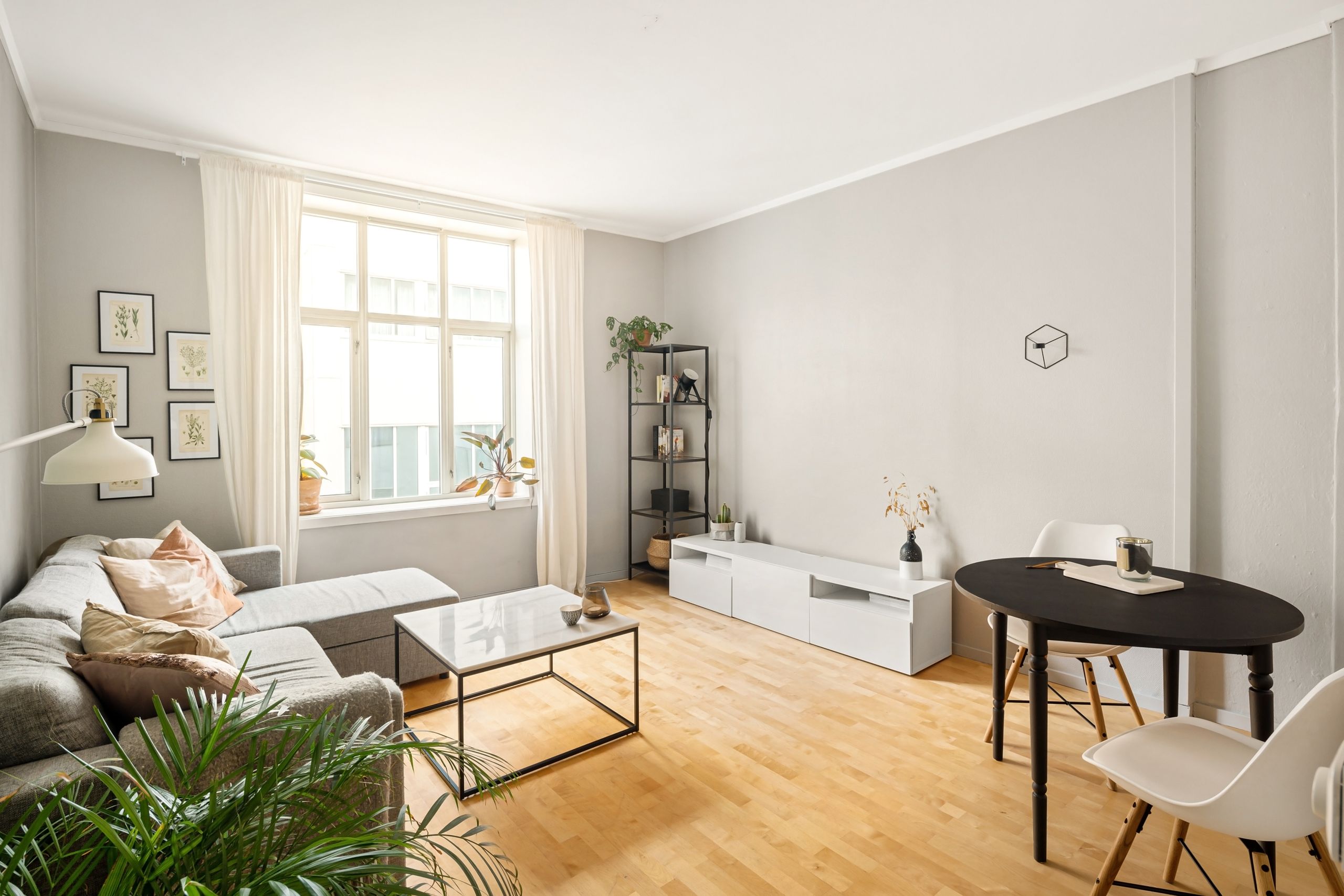 Bright, minimal living room with natural daylight, a pale sofa and wooden floor